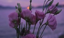 让人想很多意味深长的孤独签名