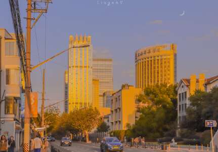 15.不要让你的生活有你的眉毛和深情