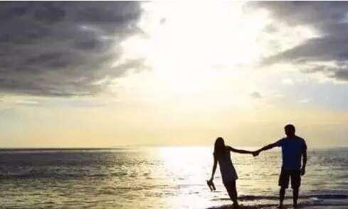 15.后来，我没有遇到想要它的人。