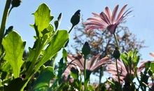 中老年的友情句子