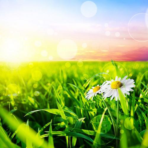 15.友谊是瓶子里的酿造酿造，无色无味，多年来它是一种强烈的感觉。