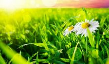 被友情伤害的励志句子