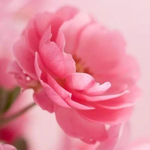 15，我忘了让岛上忘了泪水，但未能失去药。