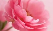 江山比不过朋友情的句子