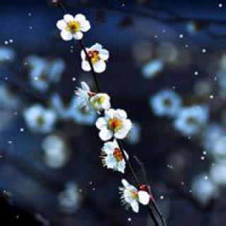 关于友谊让人不要孤独的句子