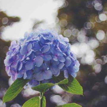 友谊破裂恢复句子1