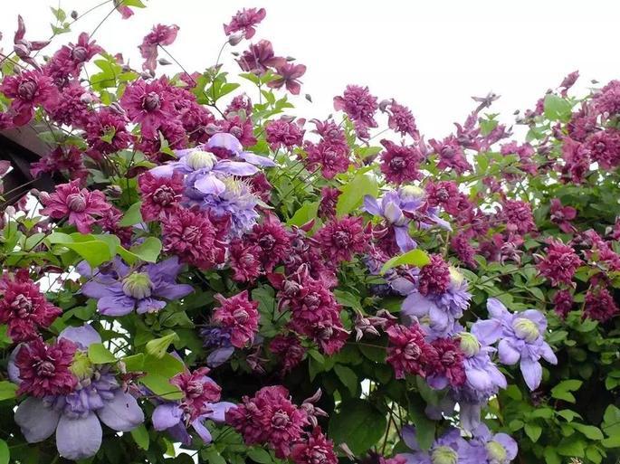 物质时代的友好句子1