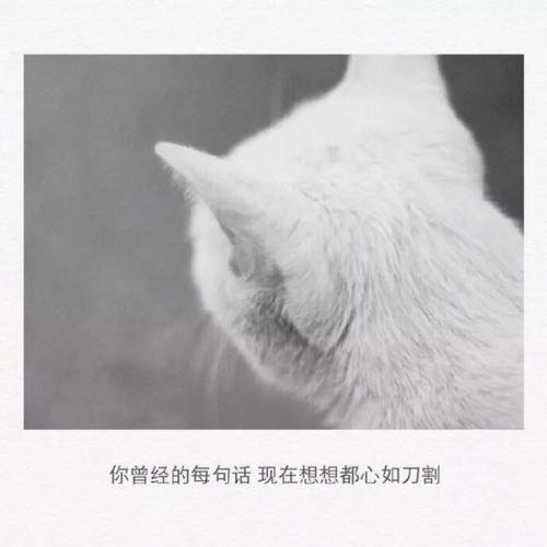 工作累了怎么发朋友圈