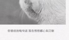 工作累了怎么发朋友圈