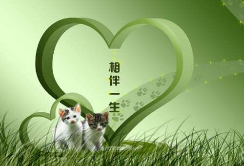 28，爱情不是依靠他的嘴，但它被证明是使用行动。如果两个人在一起，只是觉得彼此的爱，真是爱。