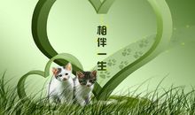 两个人相伴一生的说说