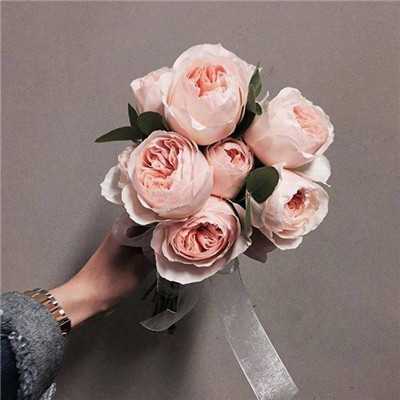 15.将我们带到一起，这是一个命运，友谊将紧密联系。