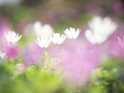 看到虚伪友谊的句子