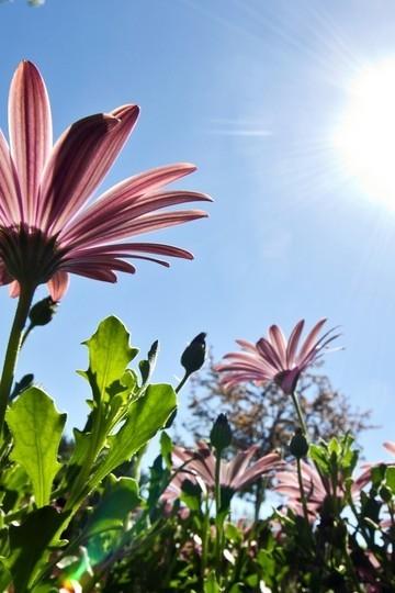 短暂的温暖的心