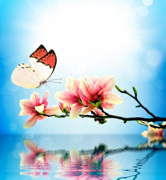 高中进入了大学的友谊句