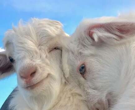 20，必须有勇气搬回。