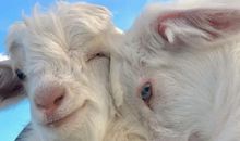 唯美诗意的微信好听签名