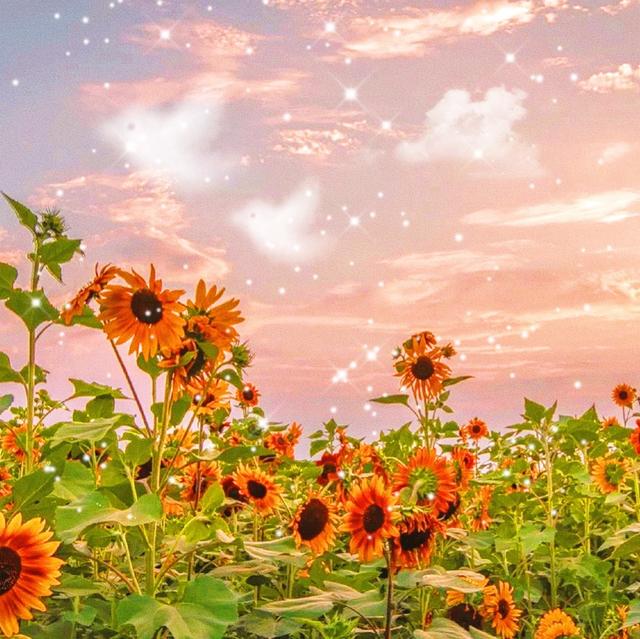 令人惊叹的老师的判决