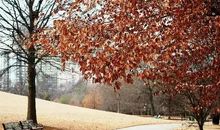 热门扎心好文案