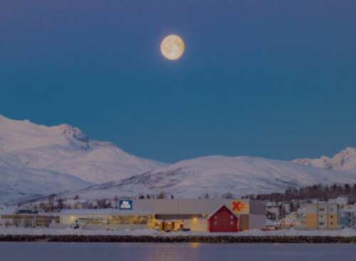 朋友的斯诺伊亲戚