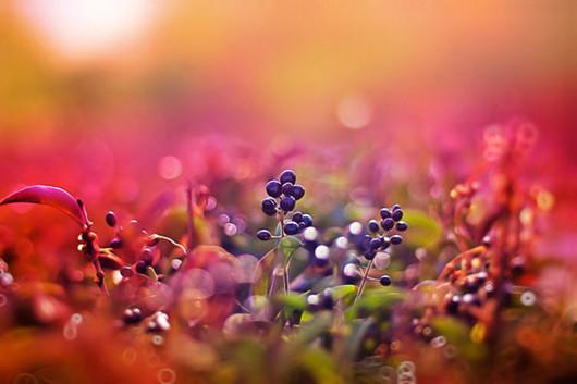 关于童年友谊的判决