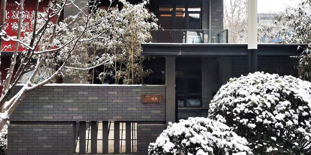 摇动最美丽的雪包装案例1