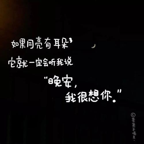 表达和谈论我的丈夫