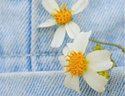 51，清新空气，清理你，伴随着你快乐的心情！愿你每天都快乐！