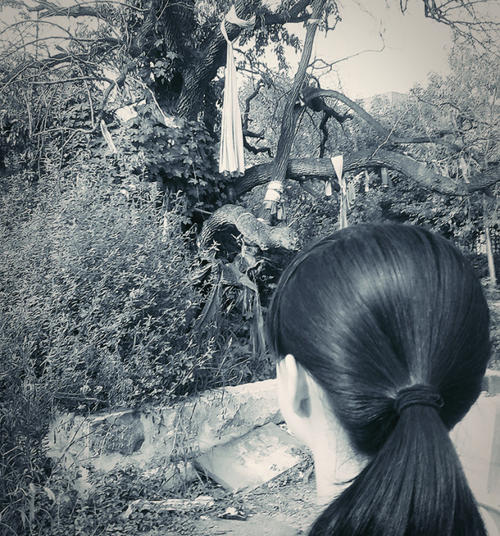 15.人们深入精致，精致，需要同行的人可以忍受。 ----安妮宝贝