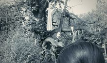 安妮宝贝关于友情的句子