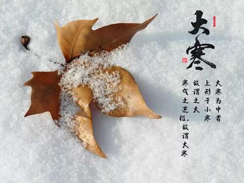 关于寒冷的短句