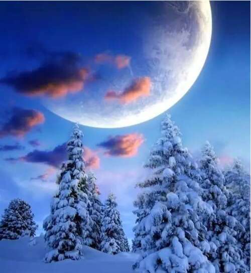 25.原谅冬天的寒冷,因为只有冬天会雪