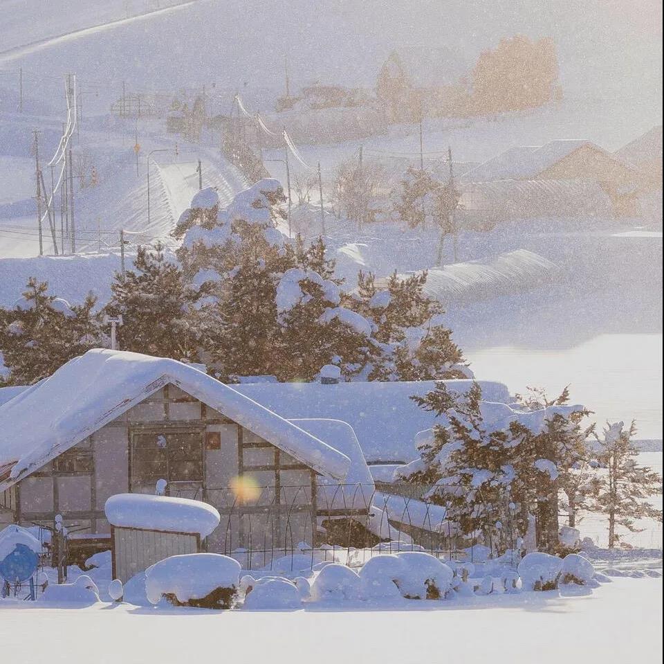 我是一个在黑暗中下雪的人。如果你不来，我会雪。