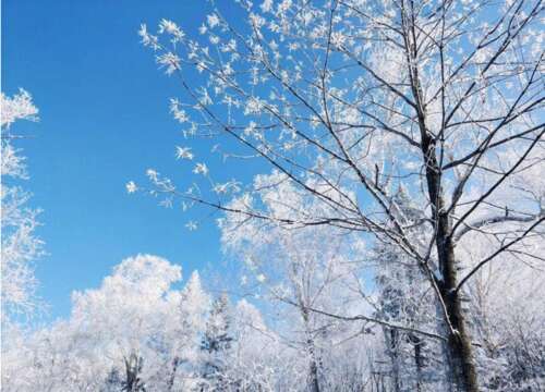 雪景的美丽短句1