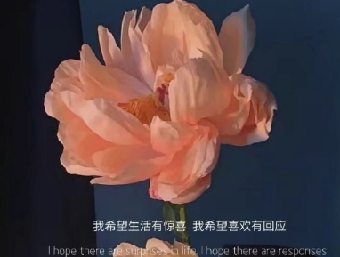 20.丽江白河钓鱼道，阳光回到雨。