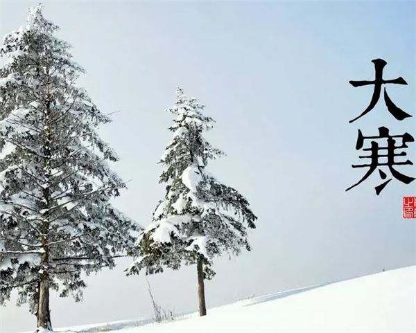 30，用蛋白质大豆，高钙牛奶，蹩脚的黑豆，降脂蘑菇，脾脏大豆，气黑真菌，温暖的肾狗，脾鱿鱼;为了抓住寒冷的温暖粥，给你寒冷的节日，祝你感冒，身体强壮，温暖，漂亮的挥之不去！