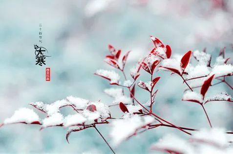 愿宝福抚摸，清庆我压倒性。