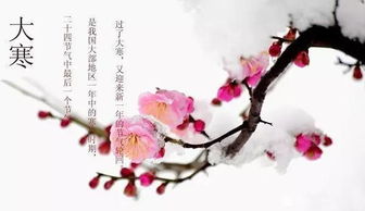 26，大冷的大寒冷被冷冻，拥抱炉子不断变暖，短信担心，特别提醒要注意寒冷，传递我的愿望是健康和无限的，祝你幸福直到永远。