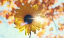 关于友情渐行渐远的句子