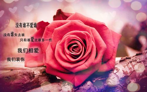 15，一种友谊，掌握在一个深隐藏;一种看，悄悄地粉碎。那是枯萎的花朵，不愿意失去;那是不愿意接受雨的伞。