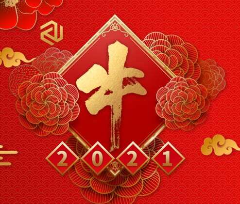 牛年，有点美丽