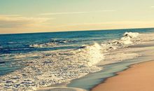 关于友情的逗逼句子