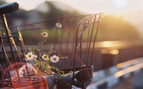 乐曲的朋友，句子1