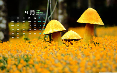 赞美动物之间的友好句子1