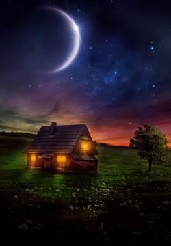 曾梓的友谊的判决