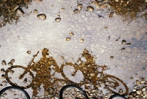 圣经经典句子1关于友谊1