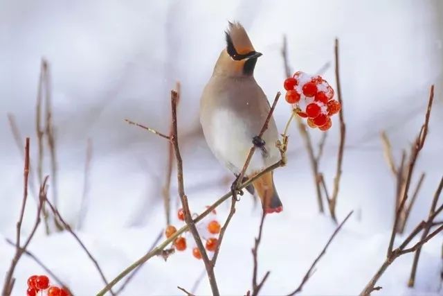 小冷谚语民间俚语1