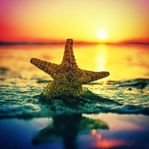 我希望别人友好的句子