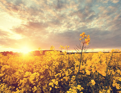 描述女朋友抓住男人放弃判决
