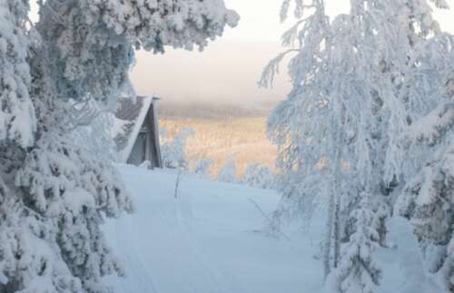 下雪天堂白人爱1